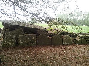 11. Labbacallee Wedge Tomb, Co. Cork.jpg