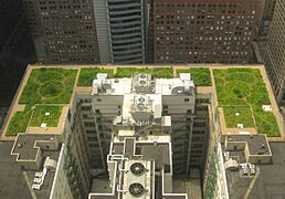 20080708 Chicago City Hall Green Roof Edit1