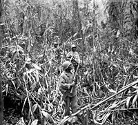 93rd division bougainville 1944