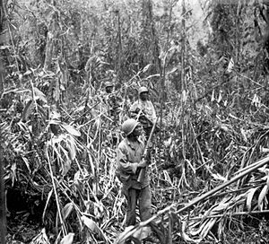 93rd division bougainville 1944