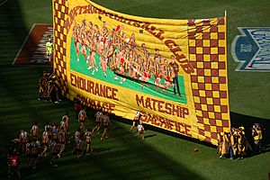 AFL Grand Final 2008 Hawthorn Banner