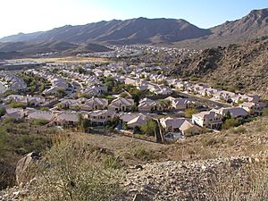 A typical Ahwatukee neighborhood as seen from South Mountain Park