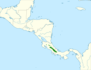 Antrostomus saturatus map.svg