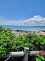 Atlantic Ocean from Marblehead Neck