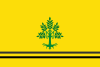 Flag of Sant Guim de Freixenet