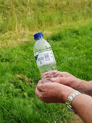 Bottled water