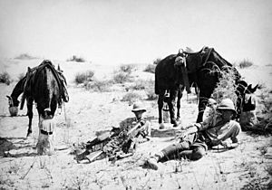 British Yeomanry on patrol in the desert 1918 IWM photo Q 050903