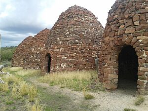 Bromide Charcoal Kilns, Greystone, Moffat County, Colorado