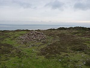 Cairn I on the western end of Llanmadoc Hill - geograph.org.uk - 2692197