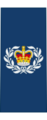 Canadian RCAF OR-8