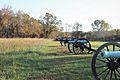 Cannons from Battle of Pea Ridge, 2016