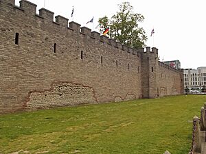 Cardiff Castle - Duke Street, Cardiff (18878876084)