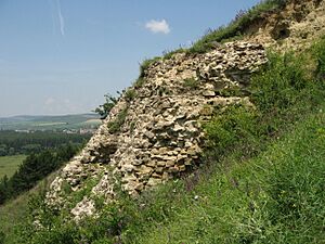 Cetatea Şcheia10