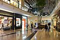 Chadstone Shopping Centre LG View 2017