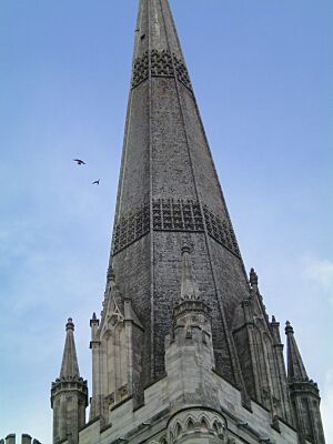 Chichester Peregrines