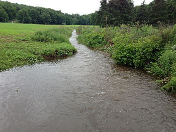 Coginchaug River at Guilford-Durham Line.jpg
