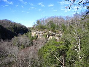 Conkle's Hollow (5221342857)