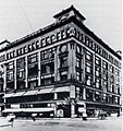 Daytons Dept Store 1903