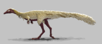 Erythrovenator jacuiensis.png
