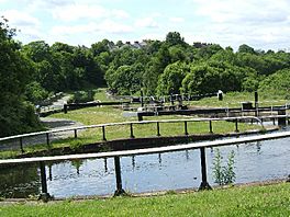 Forth and Clyde canal pathway.jpg
