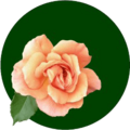 Gartenpartei Logo