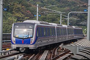 Guangzhou Metro L6 Stock For Xunfenggang Station 20201209