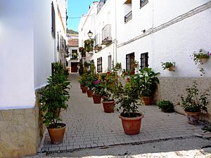 Flowers in the narrow streets and squares of the old town of Hornos.