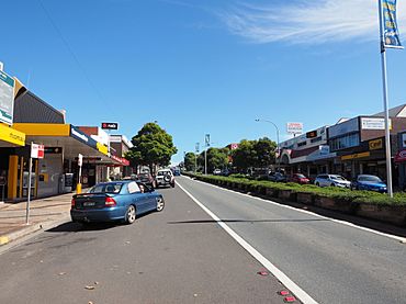 Looking south along the Princes Highway near its corner with Green Street in Ulladulla February 2015.jpg