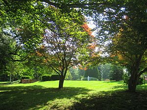 Marywood University Arboretum - 033
