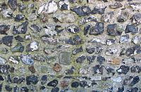 Merton priory flint wall remains
