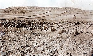 Necropolis del portillo (M.A.N. Inv. 1940-27-FF-00027)