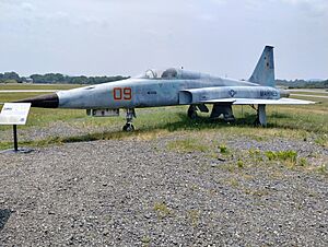 Northrop F-5 at HKY