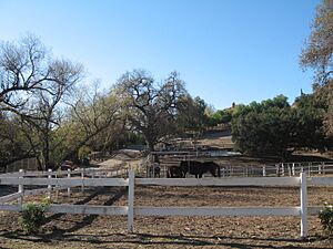Oldagoura