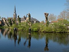 Oudewater, de Sint-Franciskuskerk RM517464 vanaf de Waardsedijk IMG 9275 2019-04-20 13.21