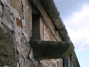 Owl hole - perch or landing platform