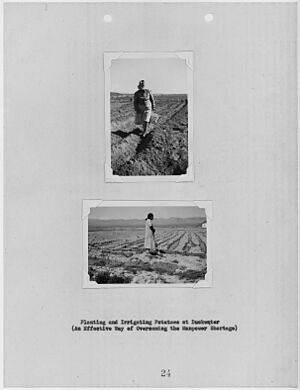 Photographs, with captions, of potato agriculture at Duckwater, Nevada, from Carson Agency Annual Report of Extension... - NARA - 296182