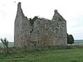 Pittarthie Castle - geograph.org.uk - 239556