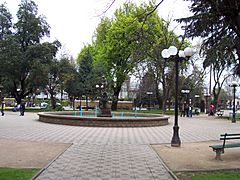 Plaza de Armas Linares Imagen 006