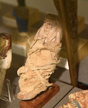 Pottery ushabti (shabti, shawabti) with linen grave clothes of T3y-ms. 19th Dynasty. From Heracleopolis Magna, Egypt. The Petrie Museum of Egyptian Archaeology, London