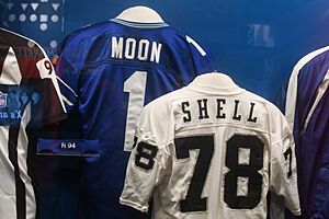 Pro Football Hall of Fame (38093657644)