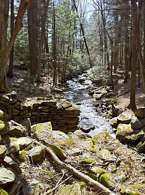 Remains of old mill dam on Beaverdam Brook taken from northern end of foot bridge.