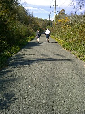 Ridgefield Rail Trail 2