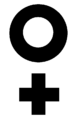 Royal Funj "wasm" (branding mark)
