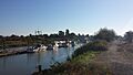 Scotch Pond, Steveston, Richmond BC, Canada, 14 Sep 2014