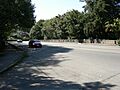 Seattle - Schmitz Park Bridge 01
