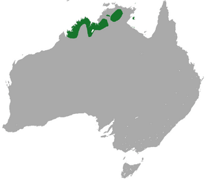 Short-eared Rock Wallaby area.png