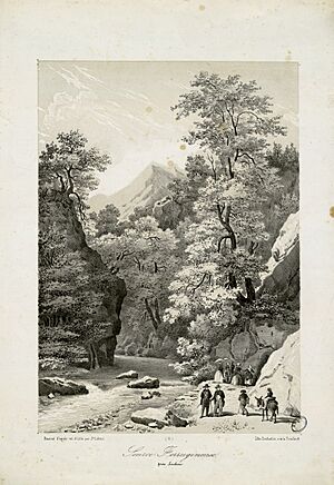 Source ferrugineuse, près Luchon - Fonds Ancely - B315556101 A LATOUR 011