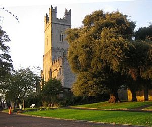 St Mary's Cathedral, Limerick