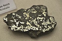 Steineisenmeteorit Estherville (Emmet Co, Iowa)