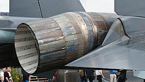 Sukhoi Su-35S 07 RED PAS 2013 07